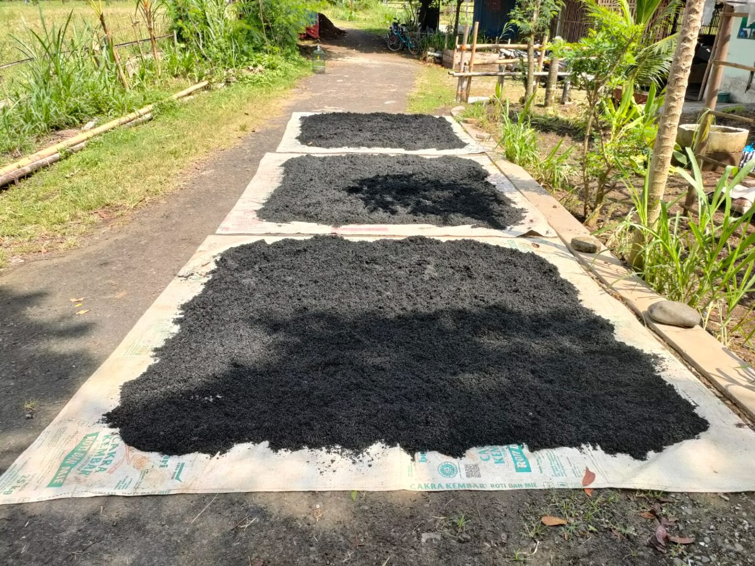 Manfaatkan Limbah Pertanian Dan Limbah Ternak Kelompok Tani Muda Desa