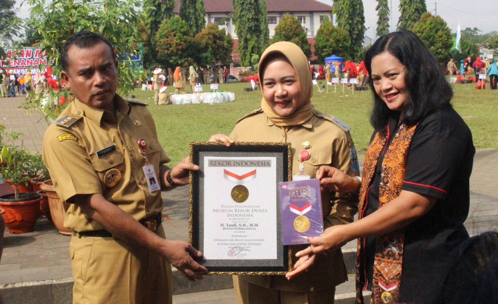 Pemkab Purbalingga Gerakan Masyarakat Tanam Cabai Rawit