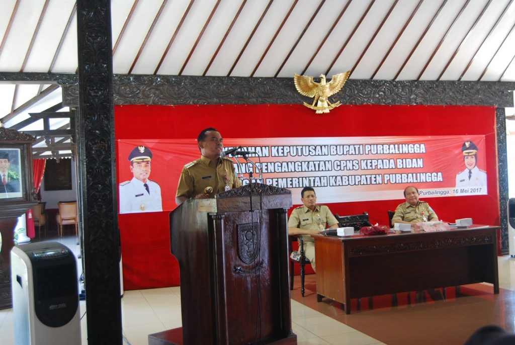 Diangkat CPNS, Bidan Harus Lebih Profesional