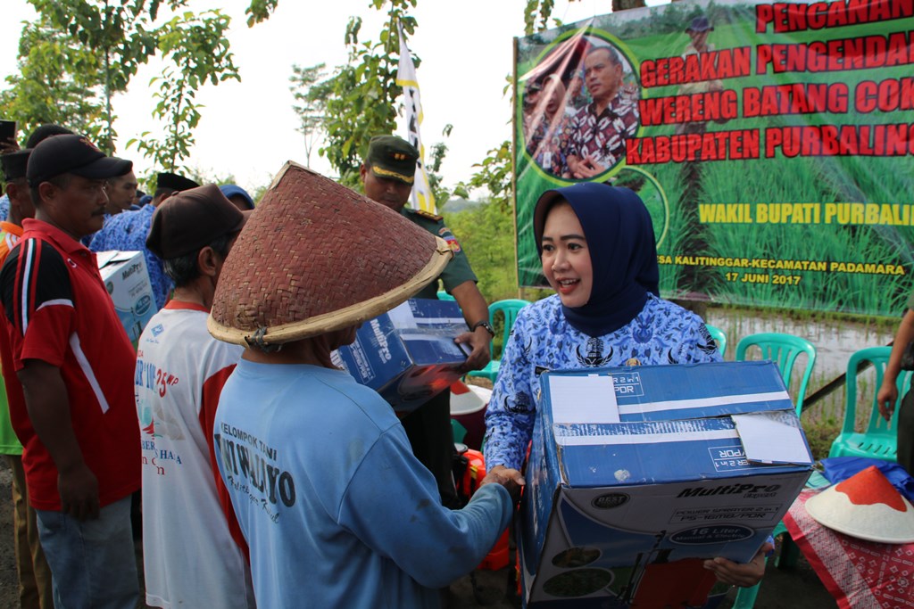 Pencanangan Gerakan Pengendalian Hama Wereng Batang Coklat