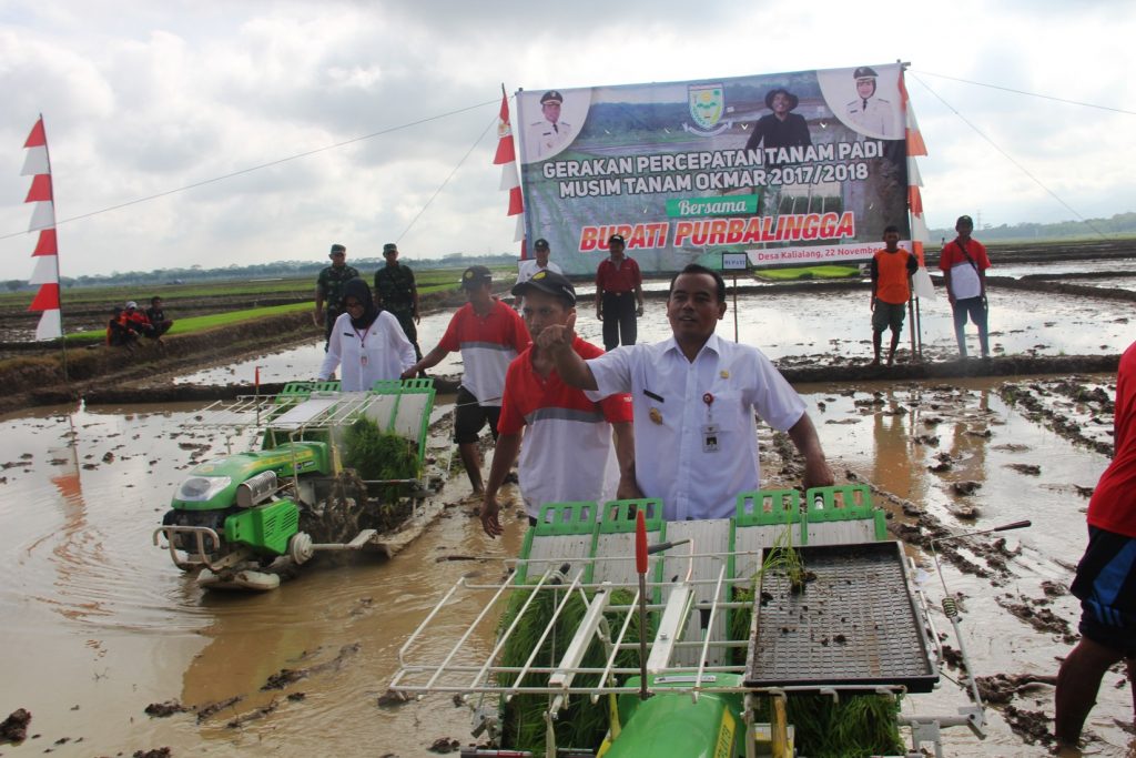 Bupati Apresiasi Langkah Cerdas Petani Kalialang Ikut Jaga Ketahanan Pangan