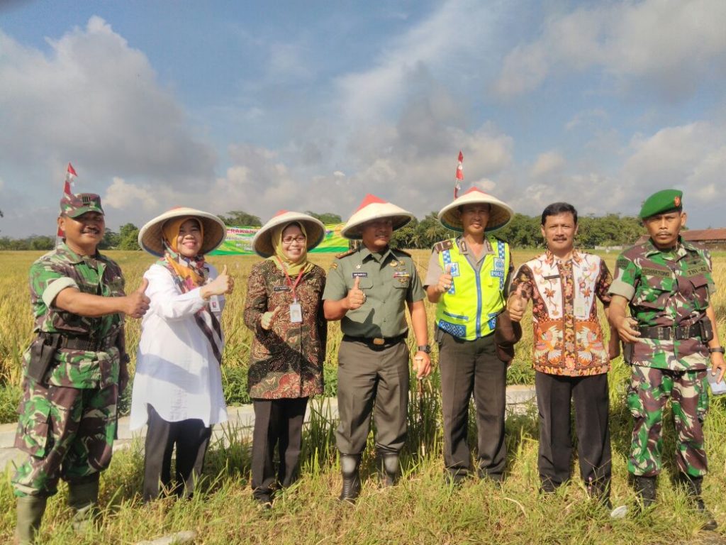 Jelang Natal dan Tahun Baru, Dinpertan Pastikan Stok Beras Aman