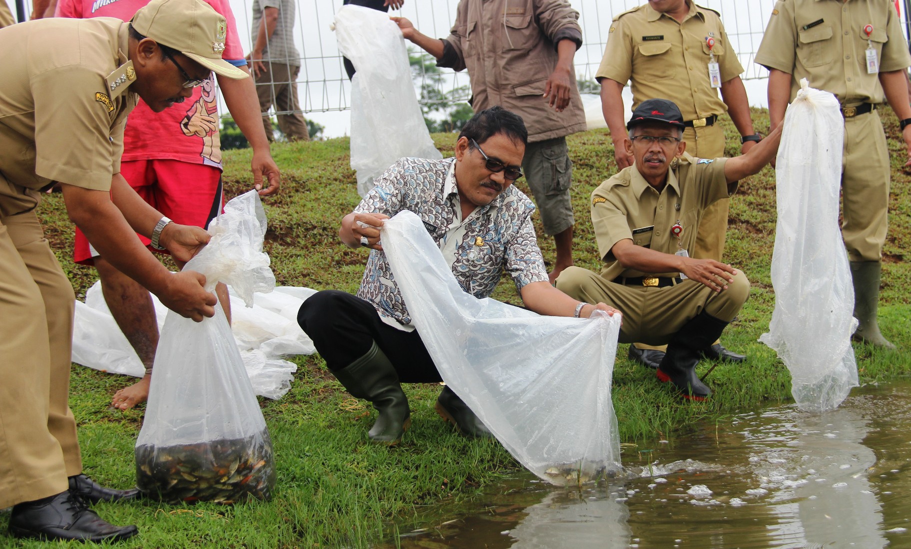 DKP Provinsi Jateng Tebar 550.000 Ikan di Perairan Purbalingga