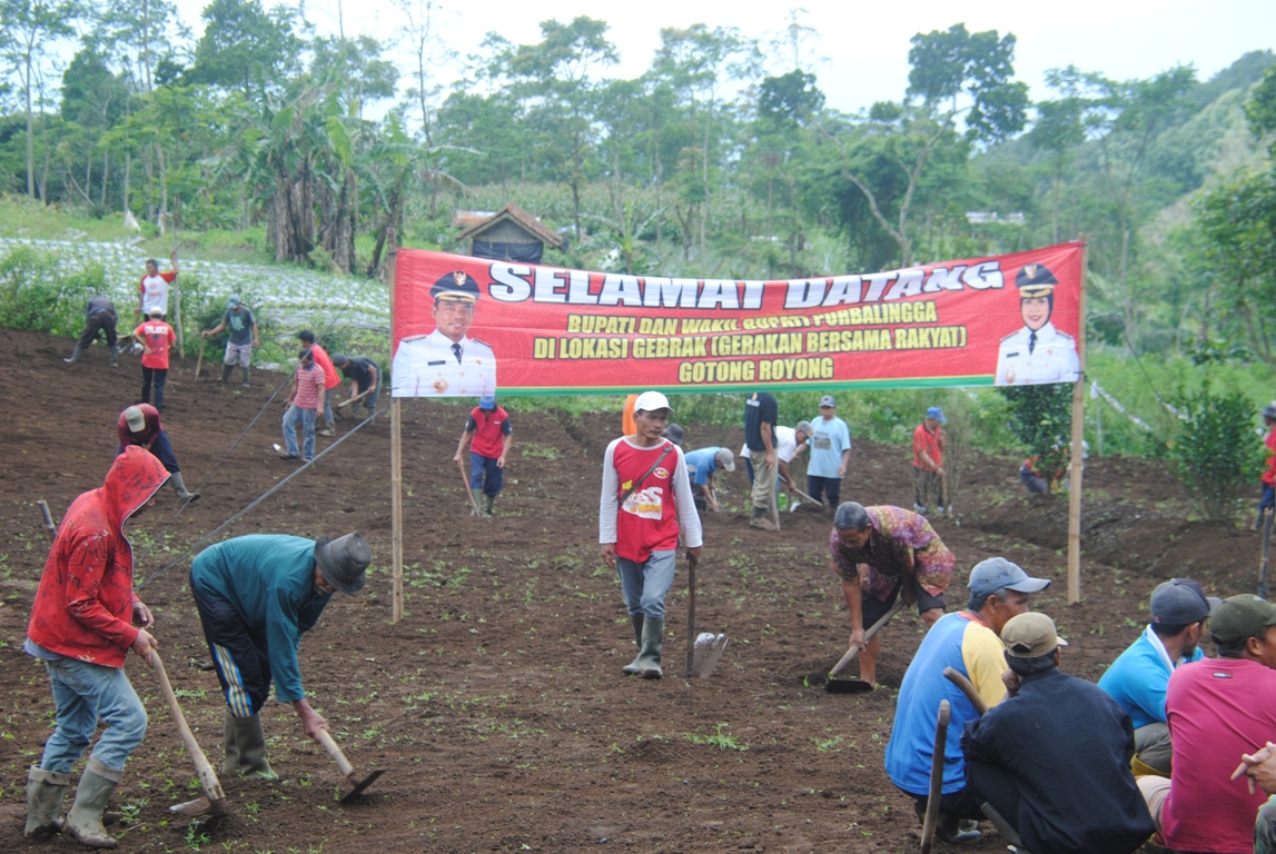 Serang Kandidat Juara Desa Gotong Royong Tingkat Provinsi