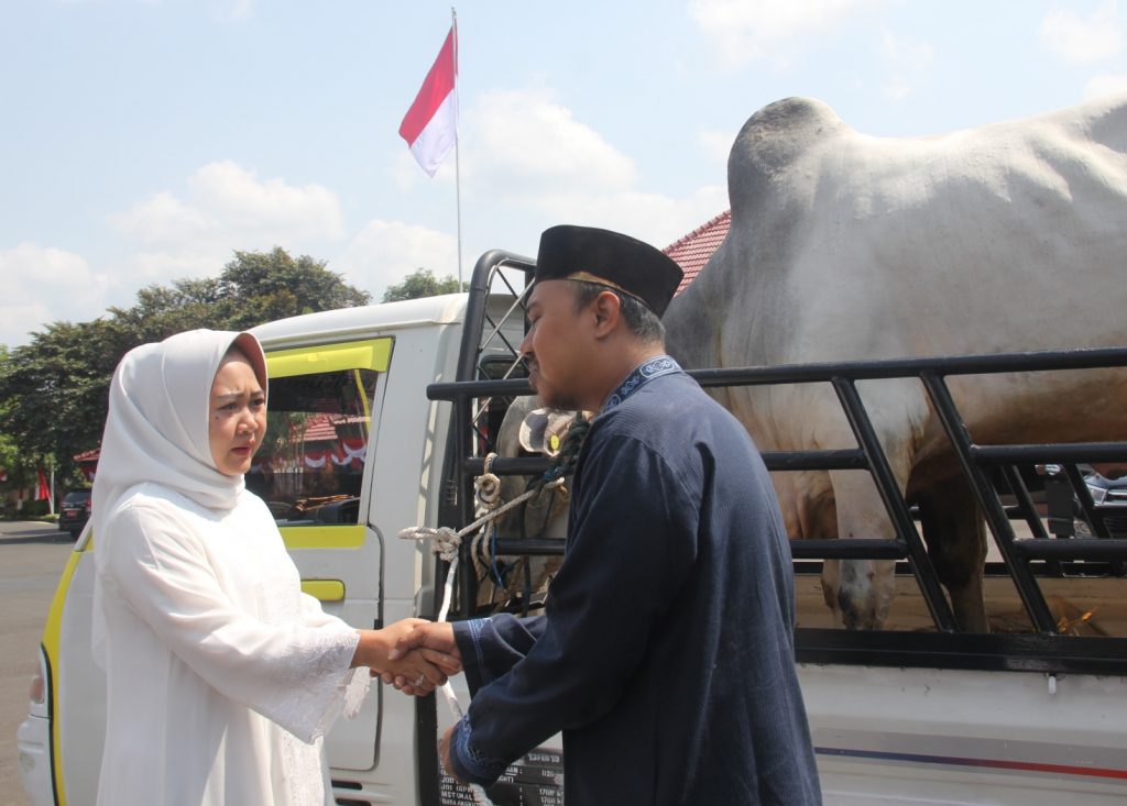 Idul Adha, Pemkab Purbalingga Bagikan Hewan Kurban 20 Ekor Sapi