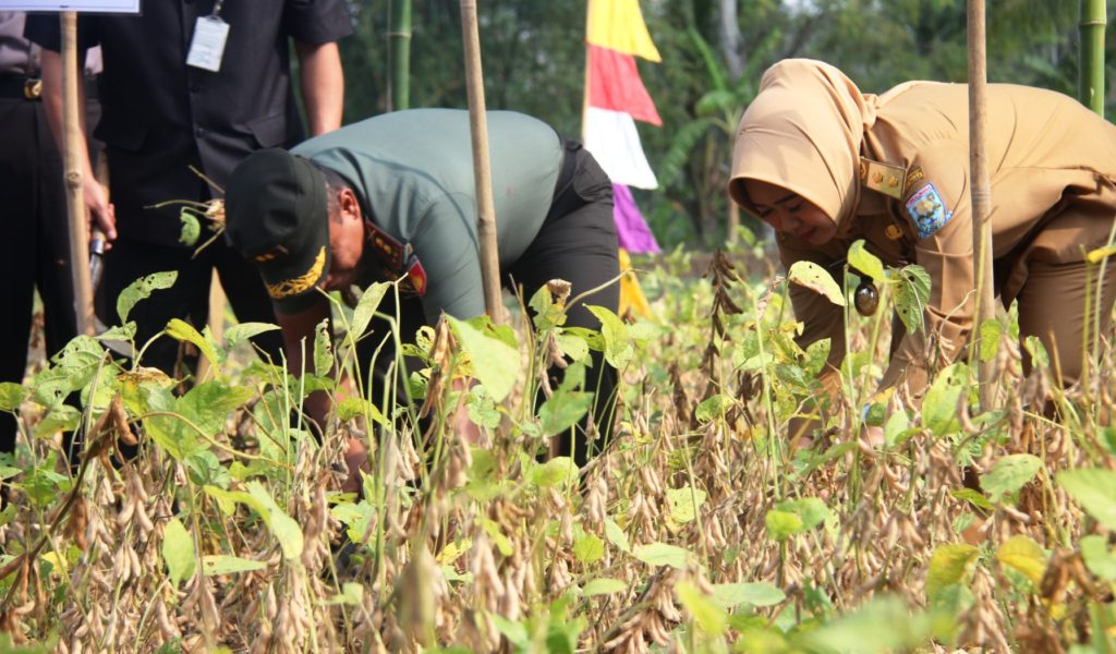 Plt. Bupati Apresiasi Dukungan Kementan Bagi Peningkatan Produktifitas Pertanian