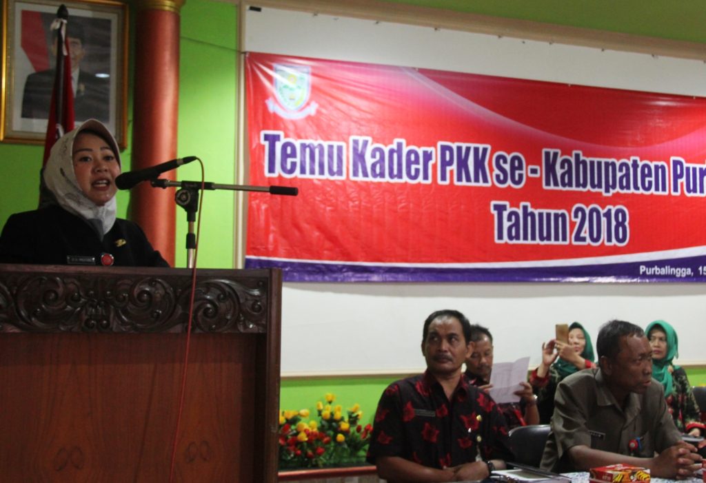 Tak Hanya Aktif, Kader PKK Dituntut Paham Program Pembangunan