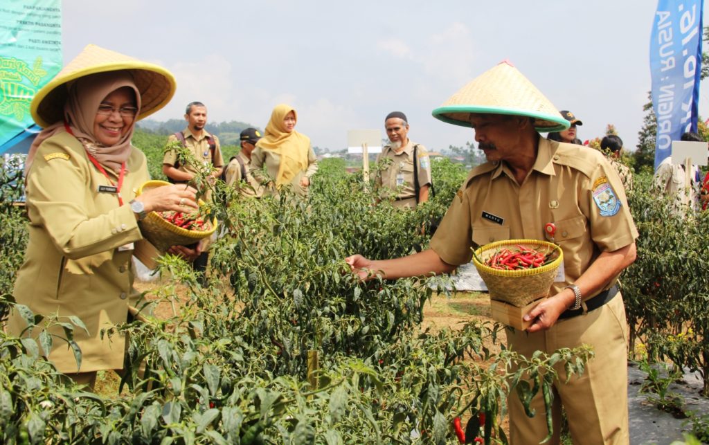 Jaga Ketersediaan Air, Pemkab Purbalingga Bangun Embung Senilai 145 Juta