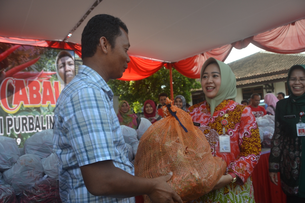 Plt Bupati Tiwi Borong 10 Kg Cabai di Bazar Cabai