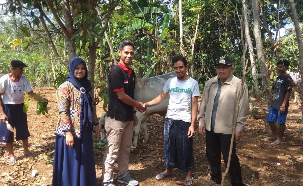 Jelang Idul Adha, Bupati Purbalingga Bagikan Hewan Kurban 18 Ekor Sapi