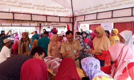 Pengembangan Usaha Pangan Masyarakat, Kembalikan Stabilisasi Harga