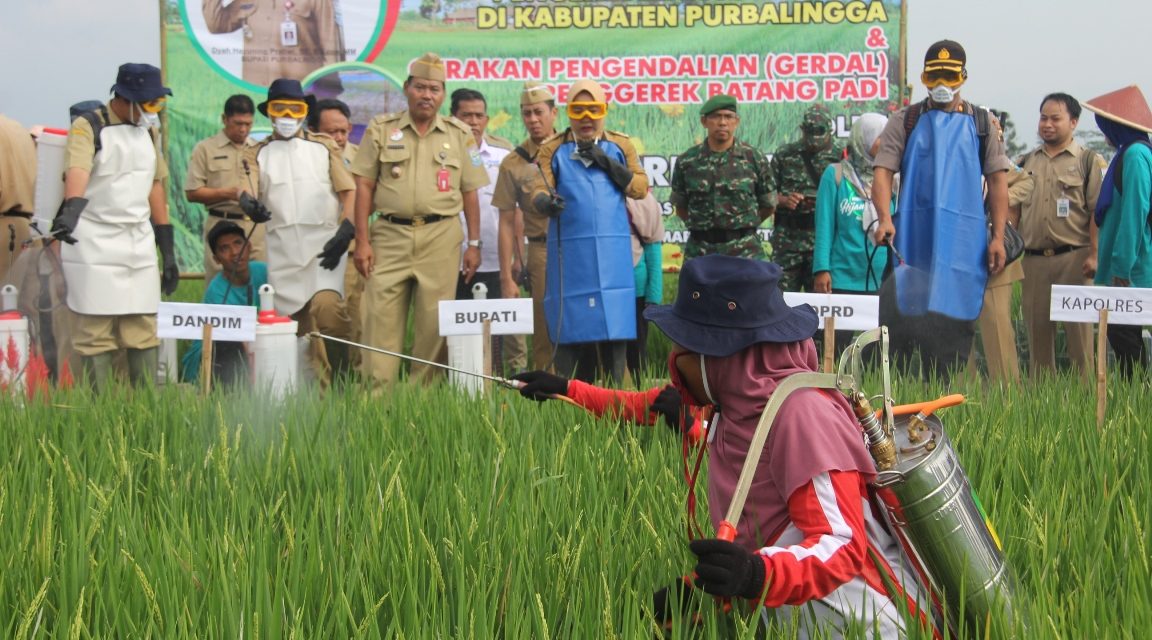 Bupati Apresiasi TBS Untuk Basmi Hama Tikus