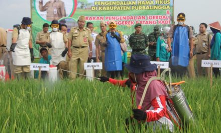 Bupati Apresiasi TBS Untuk Basmi Hama Tikus