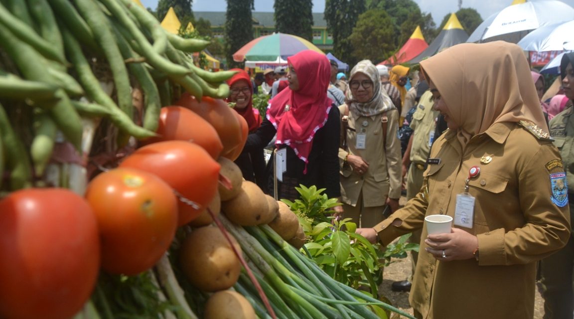 Festival Hasil Pertanian, Tampilkan Produktivitas di Musim Kemarau