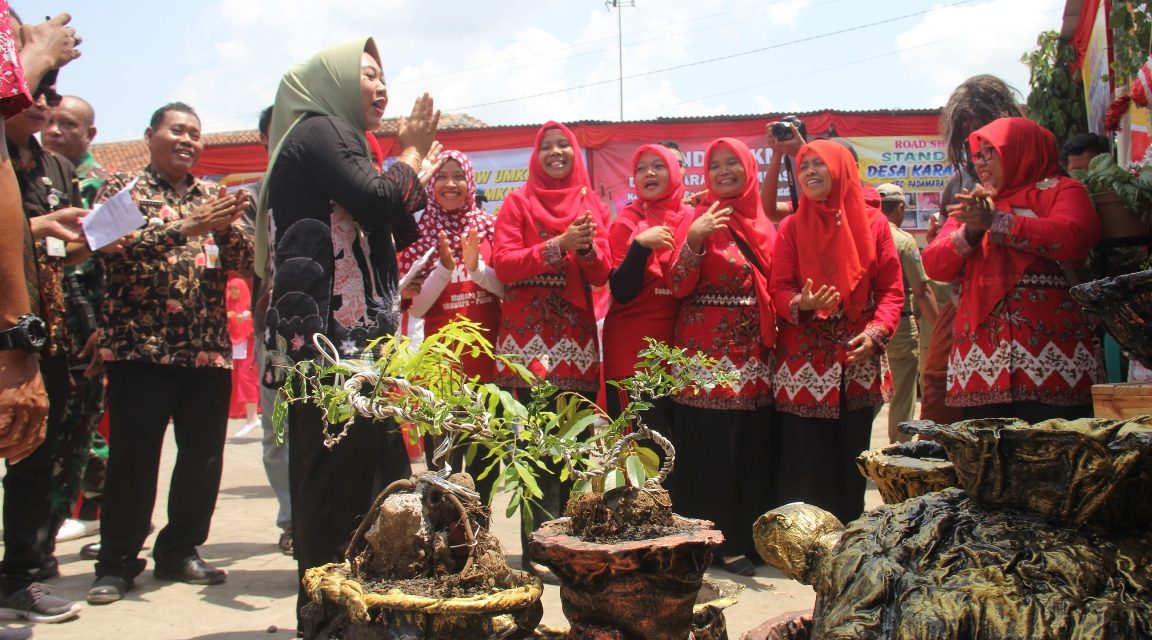 Manfaatkan Kain Bekas Untuk Membuat Pot Bunga