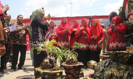 Manfaatkan Kain Bekas Untuk Membuat Pot Bunga