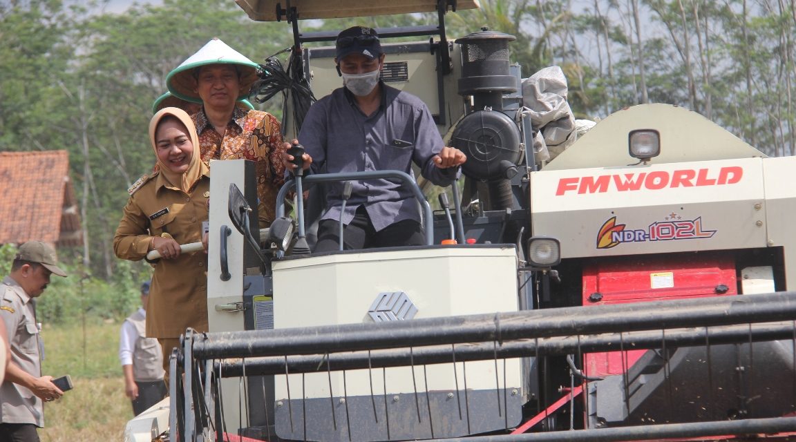 Atasi Kesulitan Tenaga, Sektor Pertanian Gunakan Modernisasi