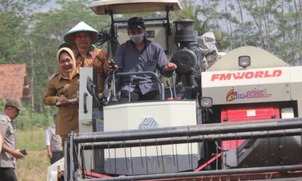 Atasi Kesulitan Tenaga, Sektor Pertanian Gunakan Modernisasi