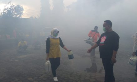 Jumpai 3 Kasus DBD, Desa Baleraksa di Fogging