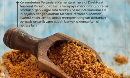 Kala Gula Semut Purbalingga Menembus Pasar Negeri Para Dewa