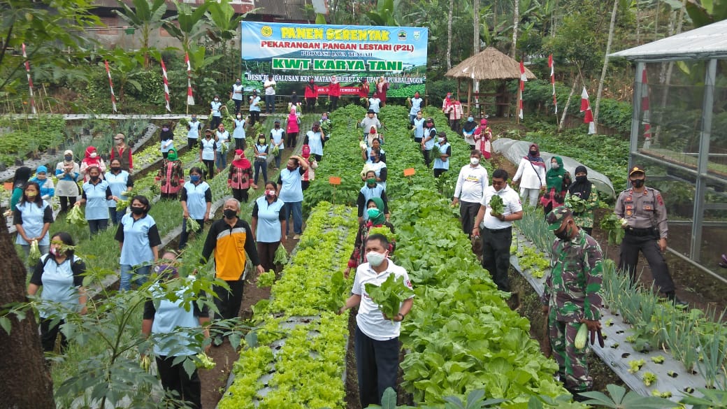 KWT Pengalusan Juara 1 Tingkat Nasional