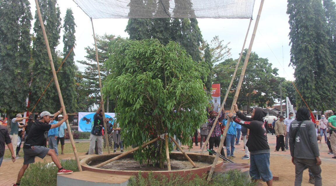 28 Komunitas Peduli Lingkungan se-Banyumas Raya Gotong-RoyongTanam Beringin Alun-alun Purbalingga