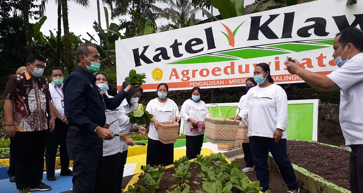 Berkah Juara Nasional, KWT Karya Tani Pengalusan Miliki Katel Klawu Agroeduwisata