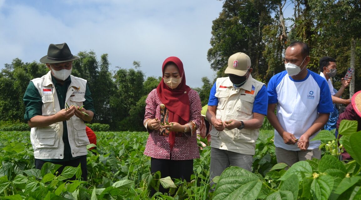 Menkop UKM : Bisnis Model Koperasi Pertanian Max Yasa Purbalingga Perlu Direplikasi