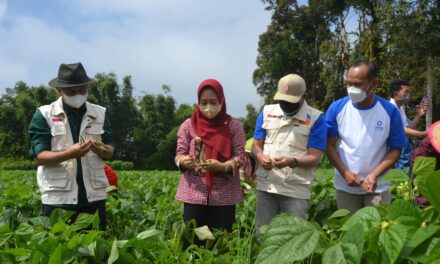 Menkop UKM : Bisnis Model Koperasi Pertanian Max Yasa Purbalingga Perlu Direplikasi