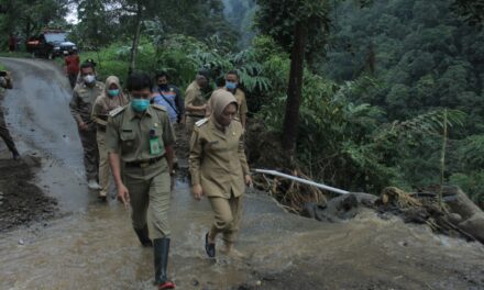 Bupati Tinjau Sejumlah Lokasi Bencana, Segera Ditangani