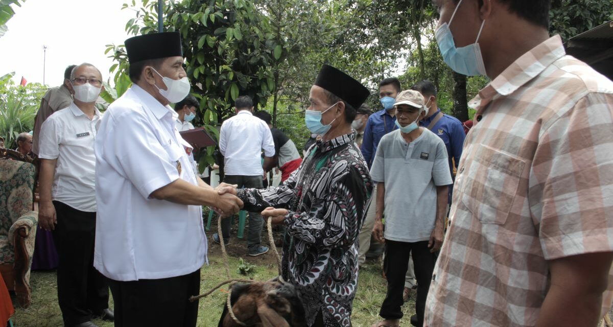 Wakil Bupati Serahkan 14 Kambing Bantuan BPR BKK Purbalingga