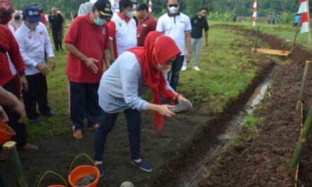 BUMDes Sokawera Segera Bangun Rumah Makan Kuliner Unggulan Ayam Ungkep