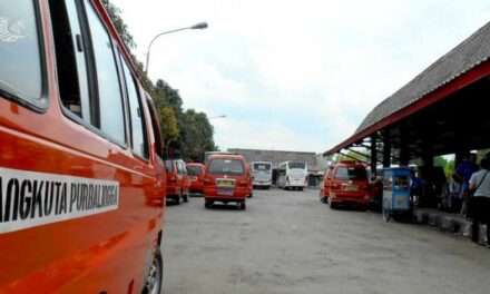 Jika Pertalite Dihapus, Organda Harapkan Subsidi untuk Pelaku Transportasi