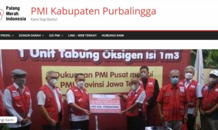 Dinkominfo Fasilitasi 4 OPD Pembuatan Website