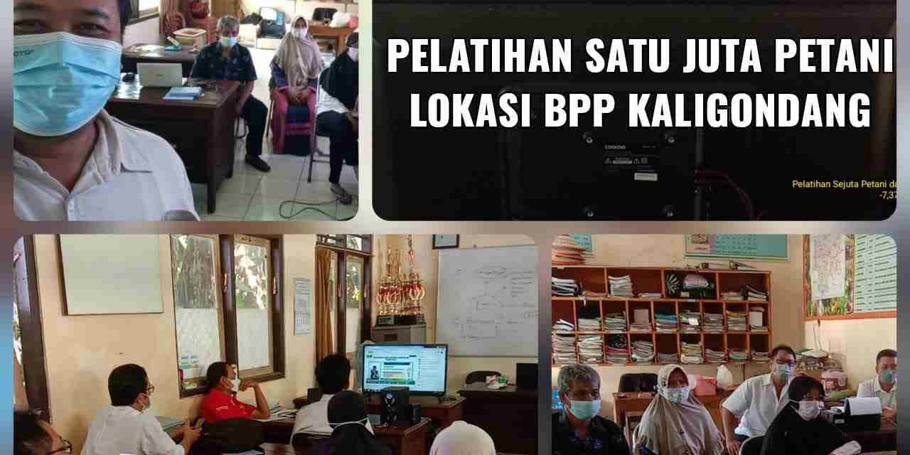 Adaptasi dan Mitigasi Perubahan Iklim, Ribuan Petani dan Penyuluh di Purbalingga Ikuti Pelatihan Sejuta Petani dan Penyuluh