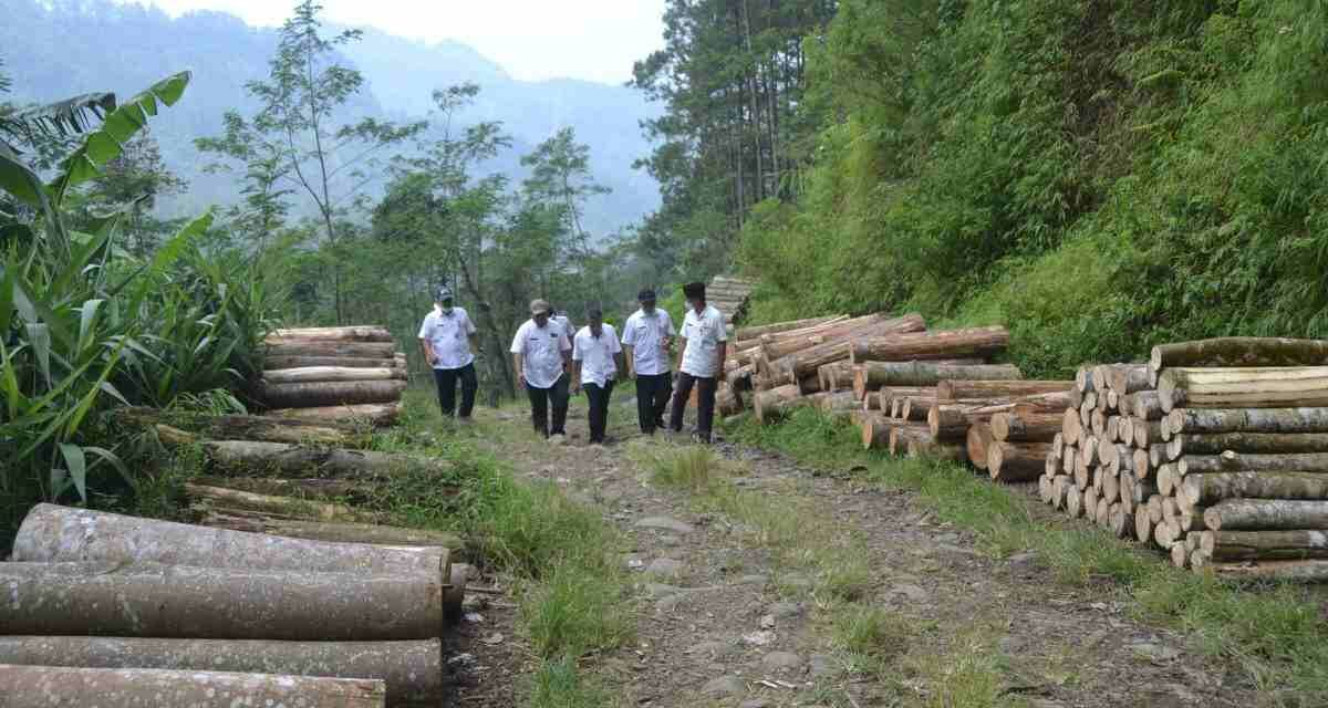 Pembangunan Jalan Tembus Karangjambu – Ponjen Kembali Dilanjutkan