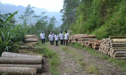 Pembangunan Jalan Tembus Karangjambu – Ponjen Kembali Dilanjutkan