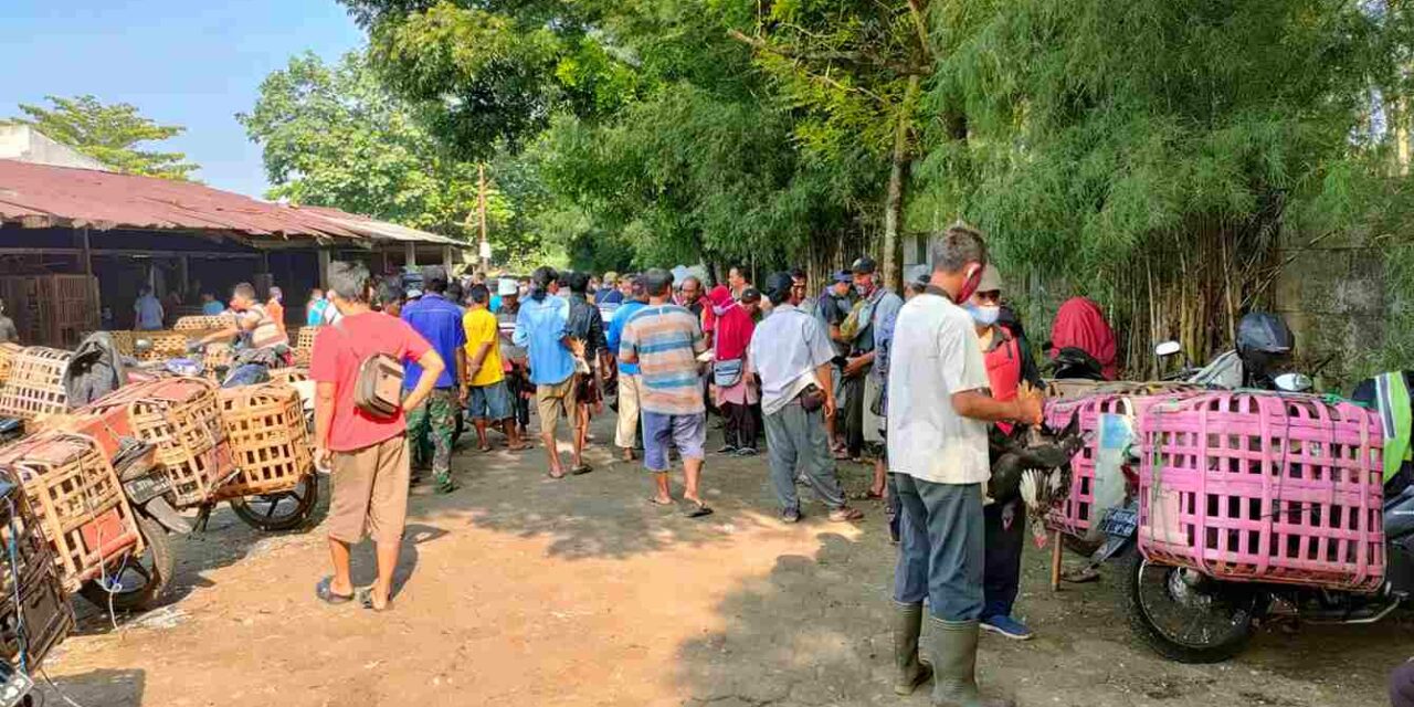 Serba Serbi Pasar Ayam Purbalingga Jelang Hari Raya, Ini Liputannya