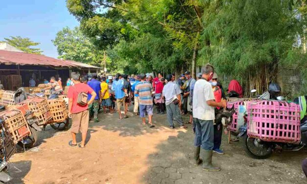 Serba Serbi Pasar Ayam Purbalingga Jelang Hari Raya, Ini Liputannya