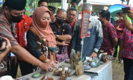 Masih Banyak Peminat, Kontes Batu Klawing Berpotensi Jadi Event Nasional