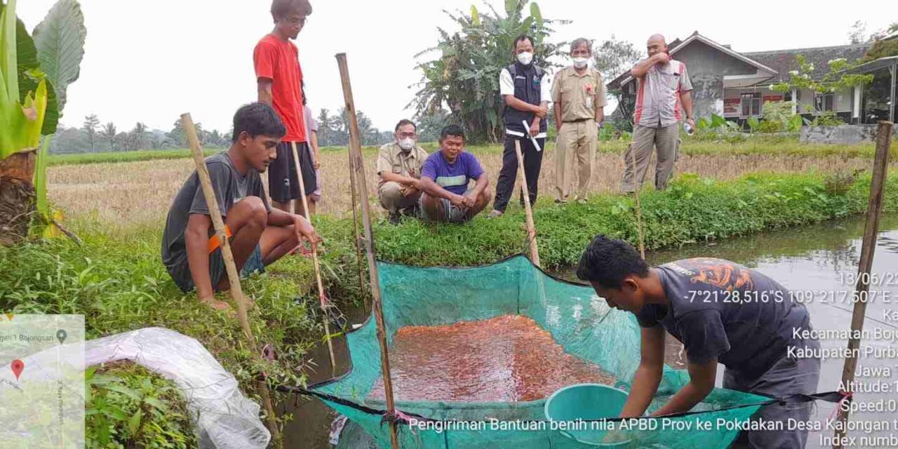 Purbalingga Miliki Potensi Besar Budidaya Ikan Air Tawar