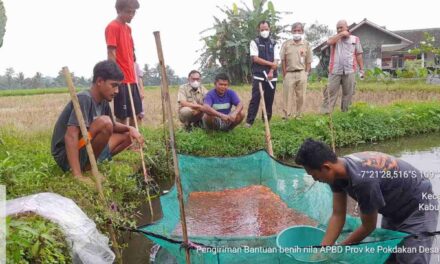 Purbalingga Miliki Potensi Besar Budidaya Ikan Air Tawar