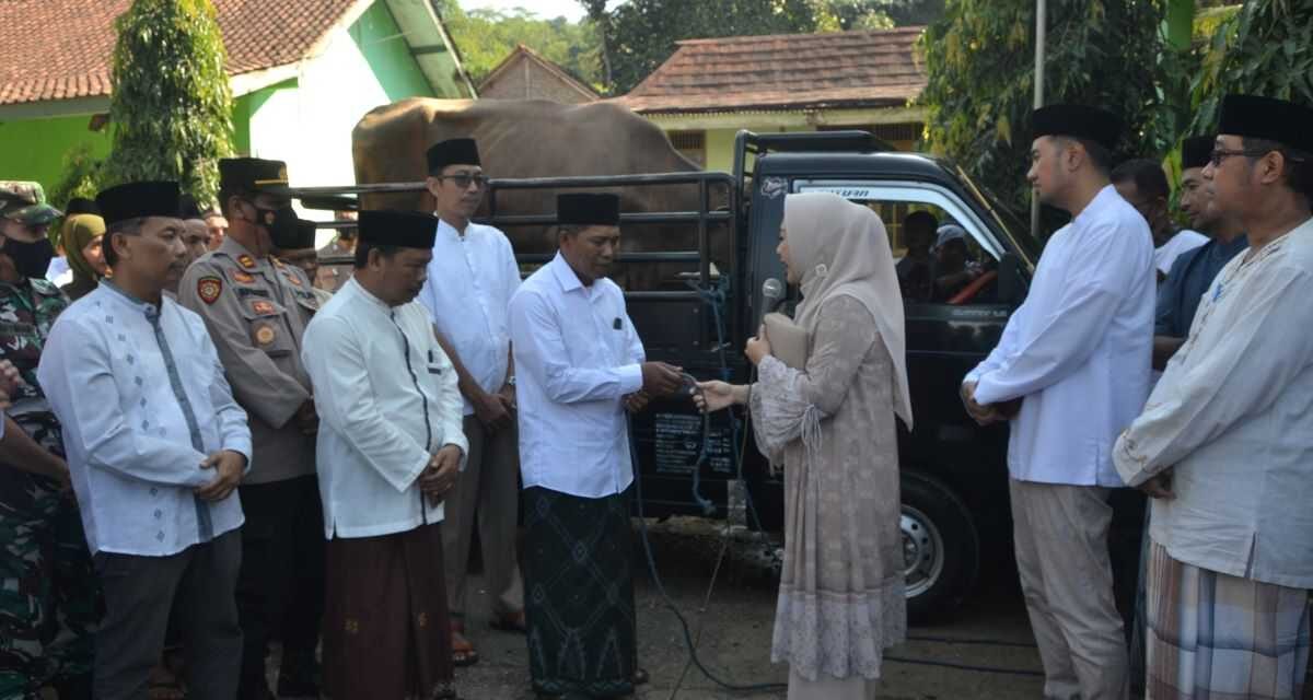 Bantu Ketahanan Pangan, Pemkab Purbalingga Serahkan 18 Hewan Kurban ke Desa-Desa