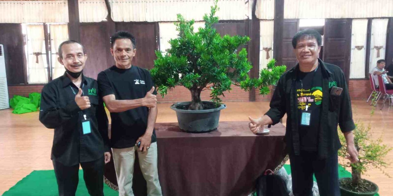 Potensi Ekonomi Bonsai di Purbalingga Menjanjikan