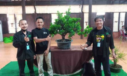 Potensi Ekonomi Bonsai di Purbalingga Menjanjikan