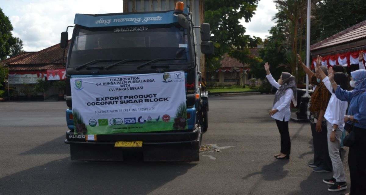 Ekonomi Menggeliat, Purbalingga Ekspor Gula Kelapa Organik Ke Malaysia