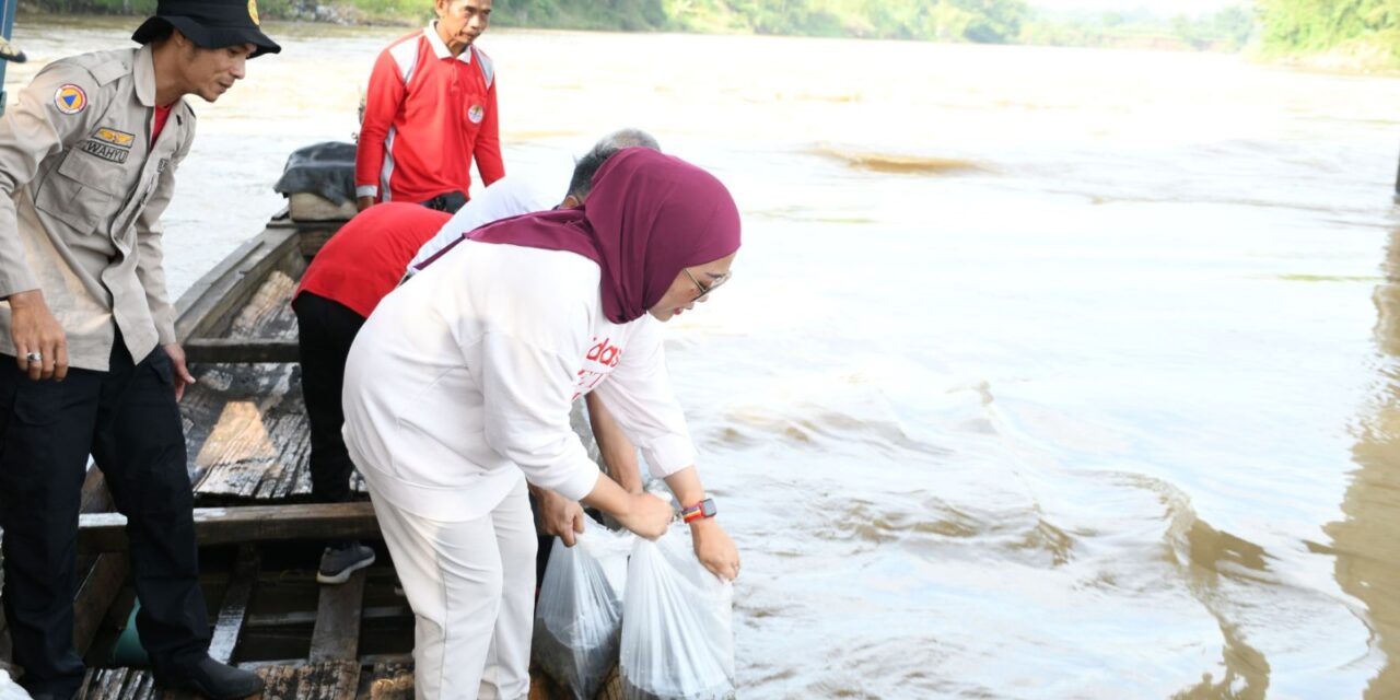 Seimbangkan Ekosistem Sungai, Sebanyak 5.000 Benih Ikan Melem Ditebar di Kali Klawing