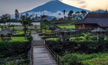 Bupati Purbalingga Dukung Desa Wisata lewat Raperda Desa Wisata