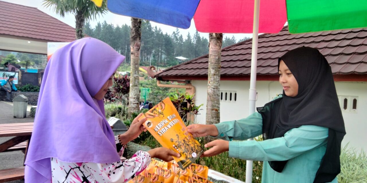 Dari Strawberry Hingga Daunnya Jadi Peluang Usaha