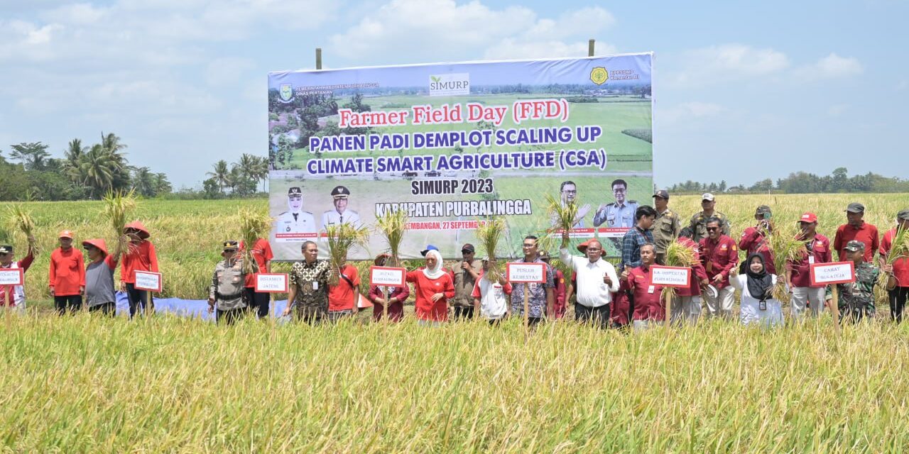 Panen Optimal di Musim Kering, Bupati Tiwi Apresiasi Teknologi Panen Cerdas Iklim